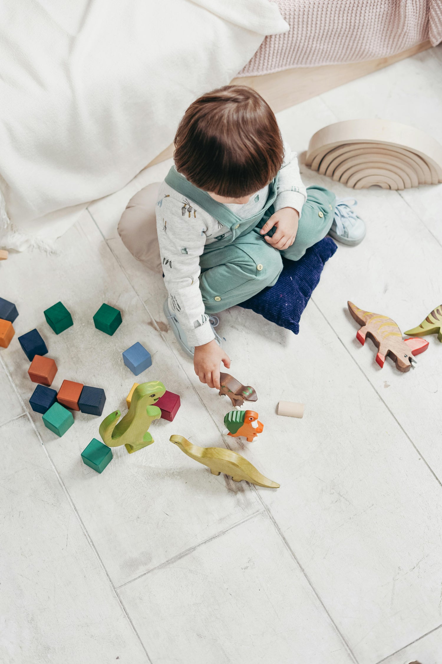 Toys and acessories